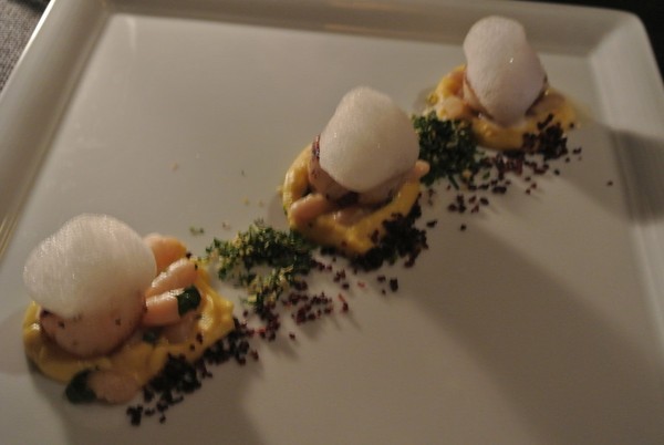 马尔代夫自助游图片