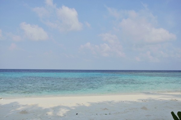 马尔代夫自助游图片