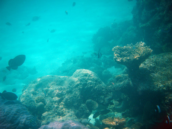 马尔代夫旅游攻略图片