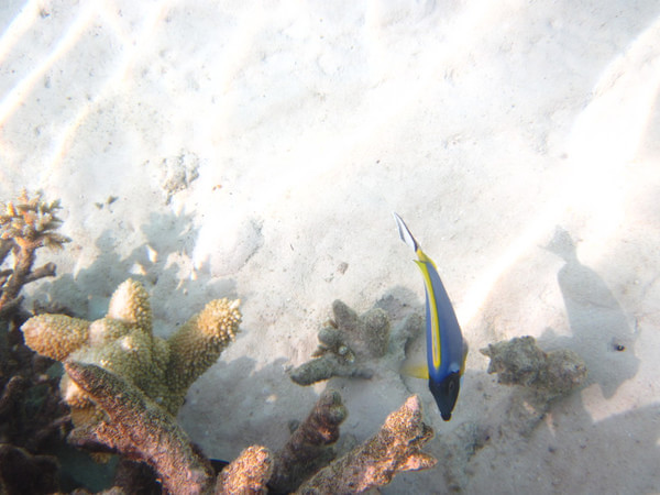 马尔代夫图片 马尔代夫图片