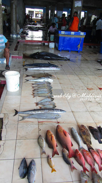 迪拜景点图片 迪拜景点图片