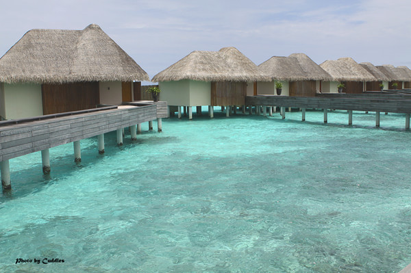 马尔代夫旅游攻略图片
