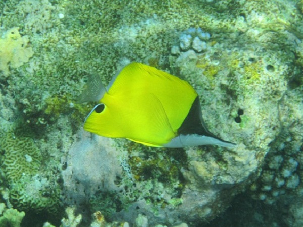 马尔代夫景点图片