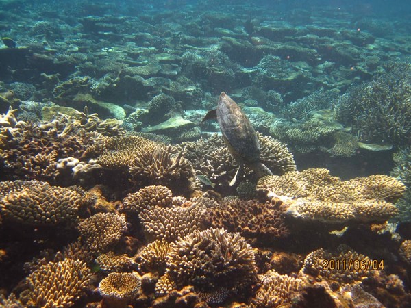 马尔代夫旅游攻略图片