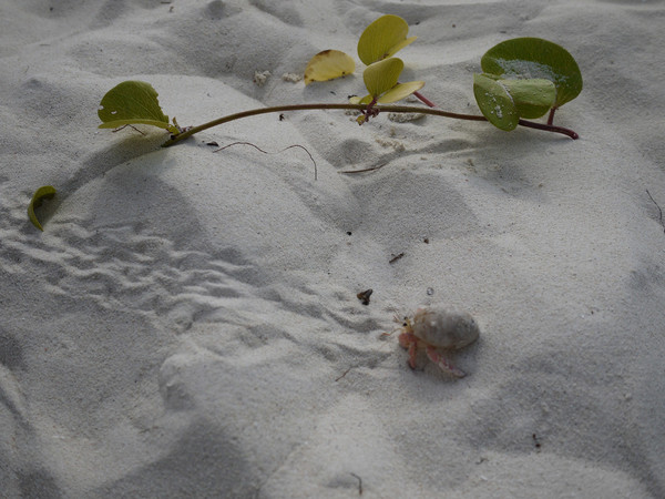 马尔代夫图片 马尔代夫图片