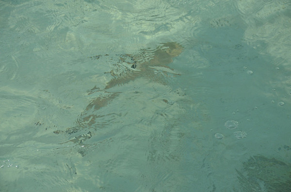 马尔代夫旅游攻略图片