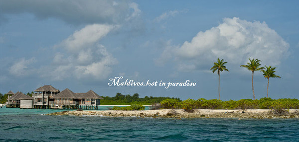 马尔代夫自助游图片