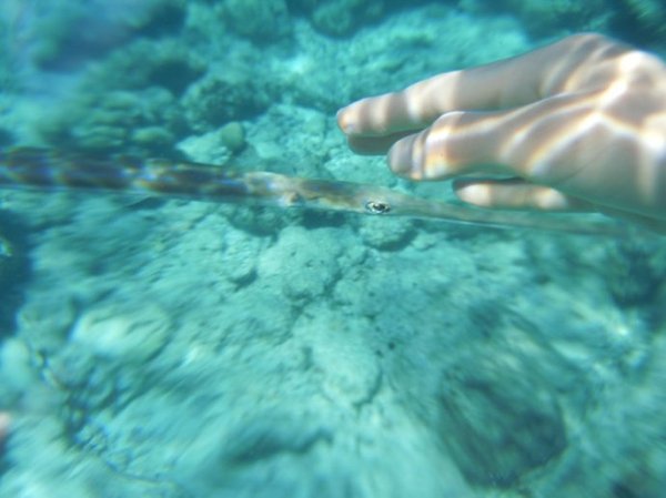 马尔代夫旅游攻略图片