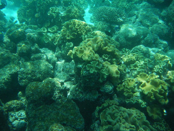 马尔代夫自助游图片