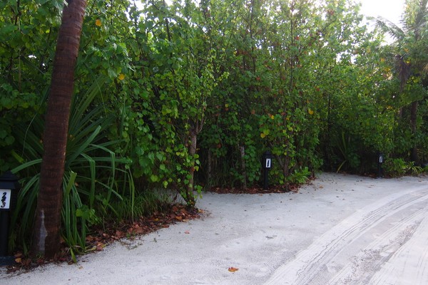 马尔代夫旅游攻略图片