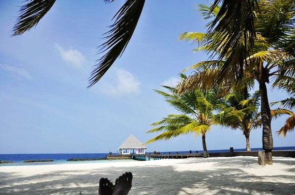 马尔代夫自助游图片