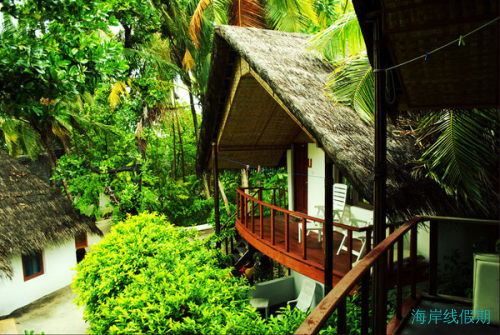 马代蓝美的蜜月之旅 小鹏&小晶甜蜜回忆,马尔代夫游记，海岸线假期