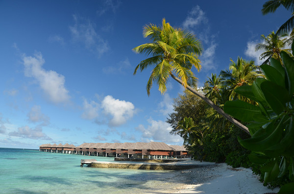 马尔代夫自助游图片