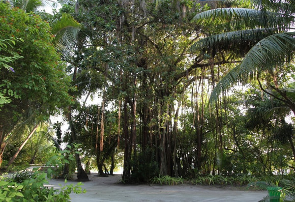 马尔代夫景点图片