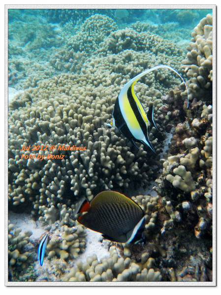 卡努呼拉岛图片 卡努呼拉岛图片