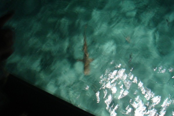 马尔代夫旅游攻略图片