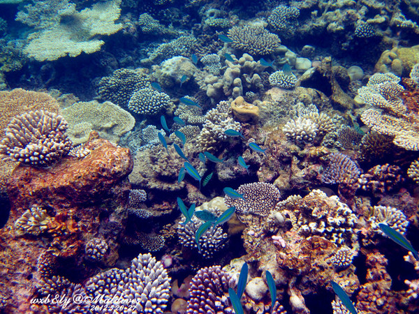 迪拜图片 迪拜图片