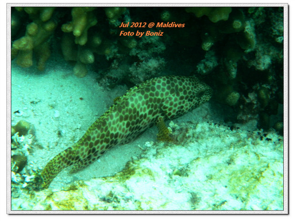 卡努呼拉岛图片 卡努呼拉岛图片