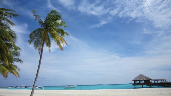 马尔代夫自助游图片