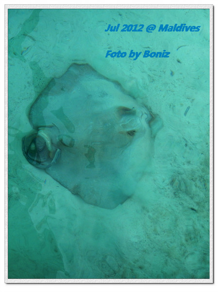 卡努呼拉岛景点图片 卡努呼拉岛景点图片