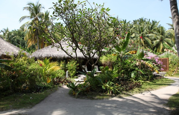 马尔代夫自助游图片