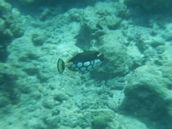 马尔代夫旅游攻略图片