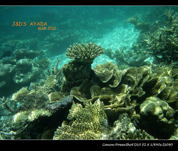 马尔代夫旅游攻略图片