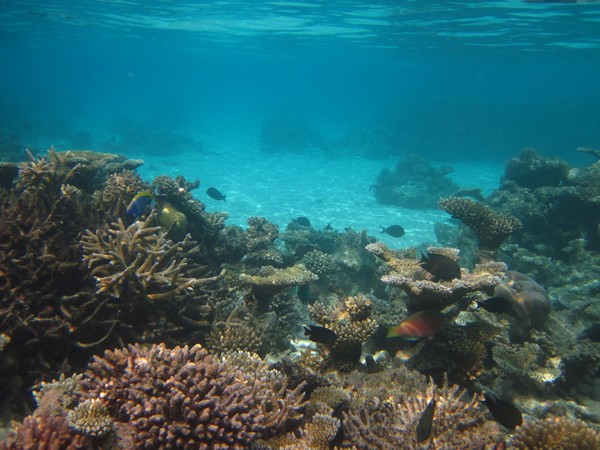 马尔代夫自助游图片 马尔代夫自助游图片