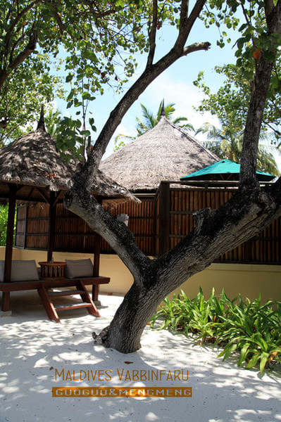 马尔代夫旅游攻略图片 马尔代夫旅游攻略图片