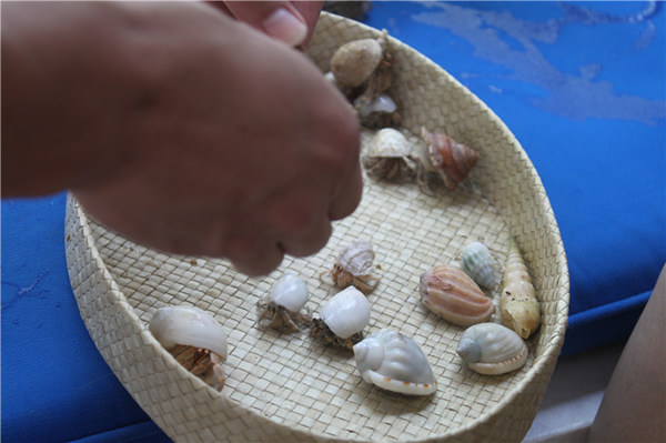 马尔代夫旅游攻略图片