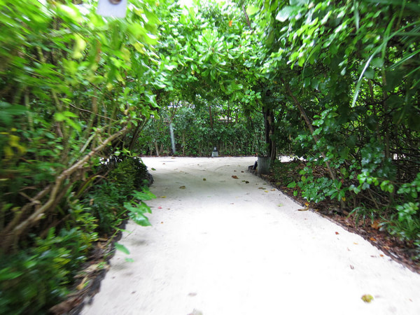 马尔代夫景点图片