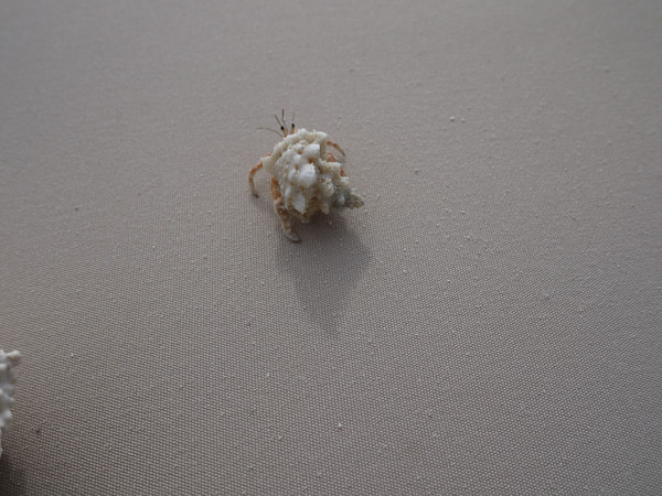 马尔代夫旅游攻略图片 马尔代夫旅游攻略图片