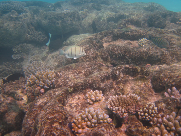 马尔代夫景点图片 马尔代夫景点图片