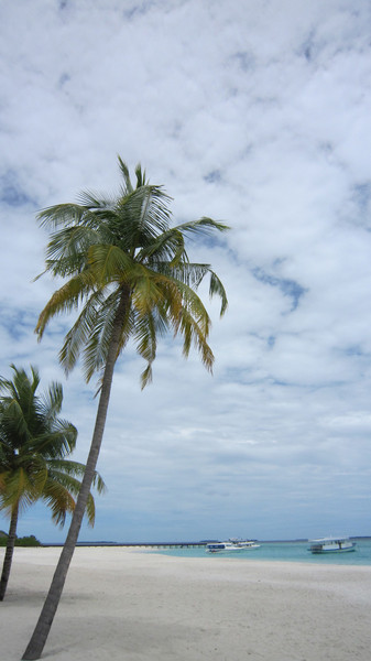 马尔代夫旅游攻略图片