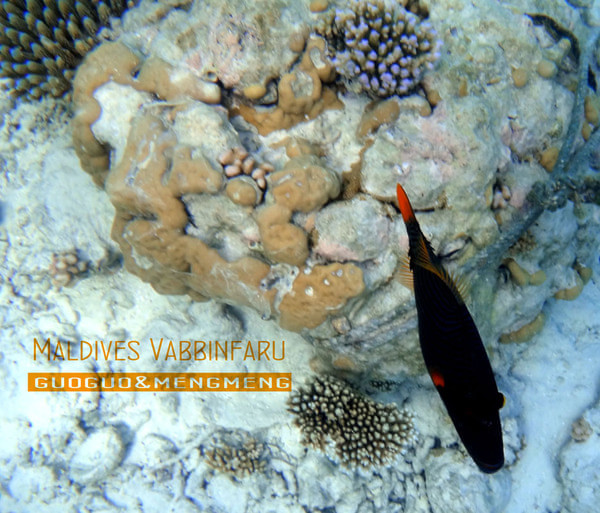 马尔代夫景点图片 马尔代夫景点图片