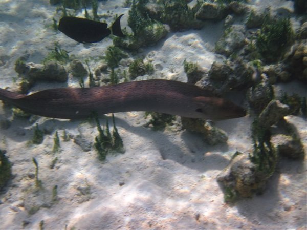 马尔代夫景点图片