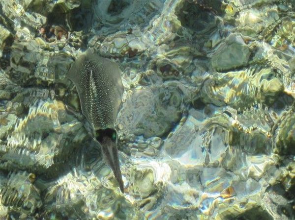 马尔代夫图片 马尔代夫图片