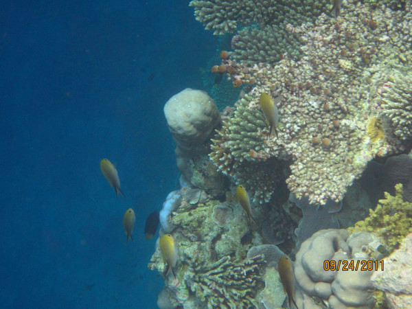 马尔代夫旅游攻略图片