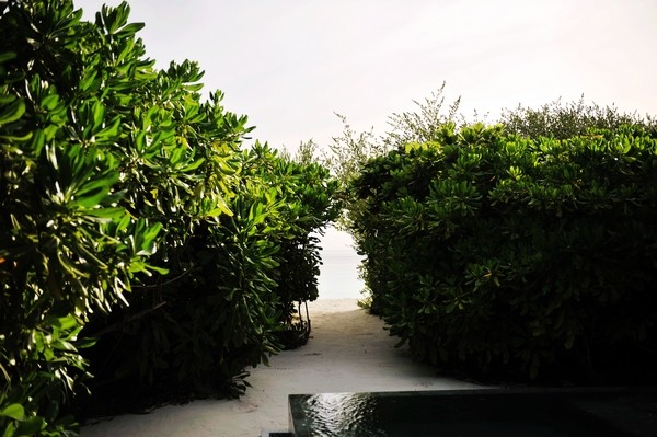 马尔代夫旅游攻略图片