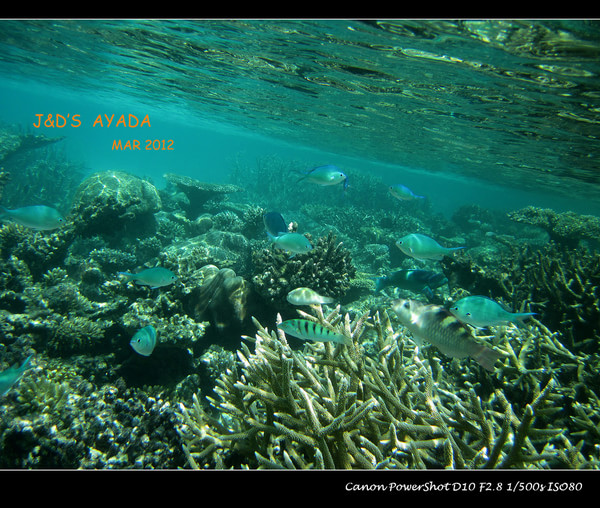 马尔代夫自助游图片