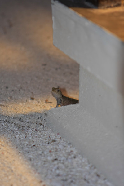 马尔代夫图片 马尔代夫图片