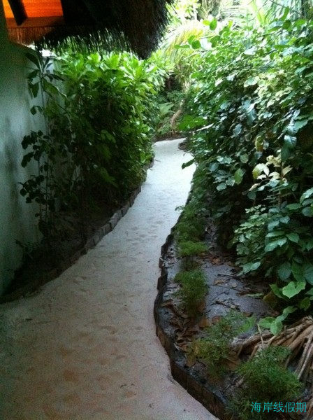 马尔代夫玛娜法鲁度游记,马尔代夫游记，海岸线假期