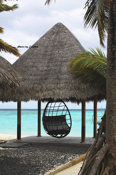 马尔代夫景点图片