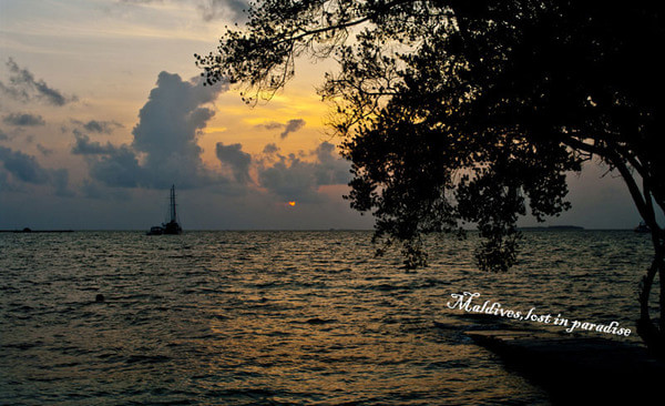 马尔代夫旅游攻略图片