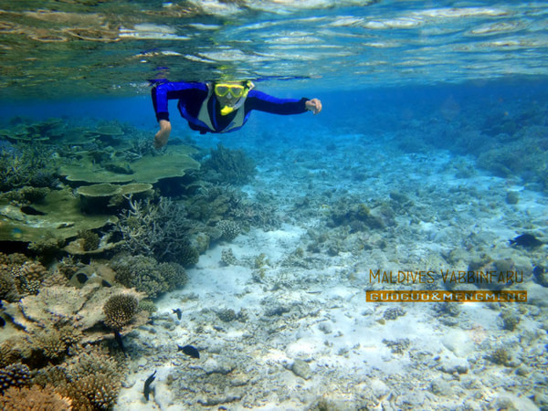 马尔代夫图片 马尔代夫图片