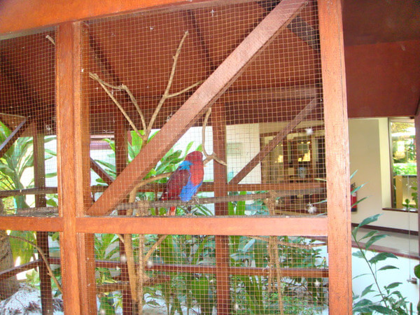 马尔代夫自助游图片