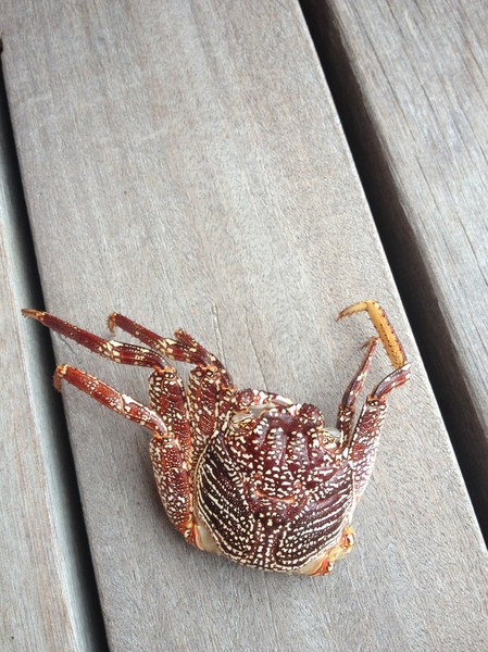 马尔代夫旅游攻略图片 马尔代夫旅游攻略图片