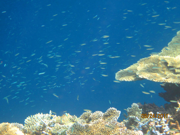 马尔代夫景点图片