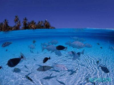 最甜蜜的蜜月好去处——非马尔代夫莫属,马尔代夫游记，海岸线假期