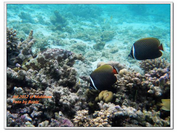 卡努呼拉岛自助游图片 卡努呼拉岛自助游图片